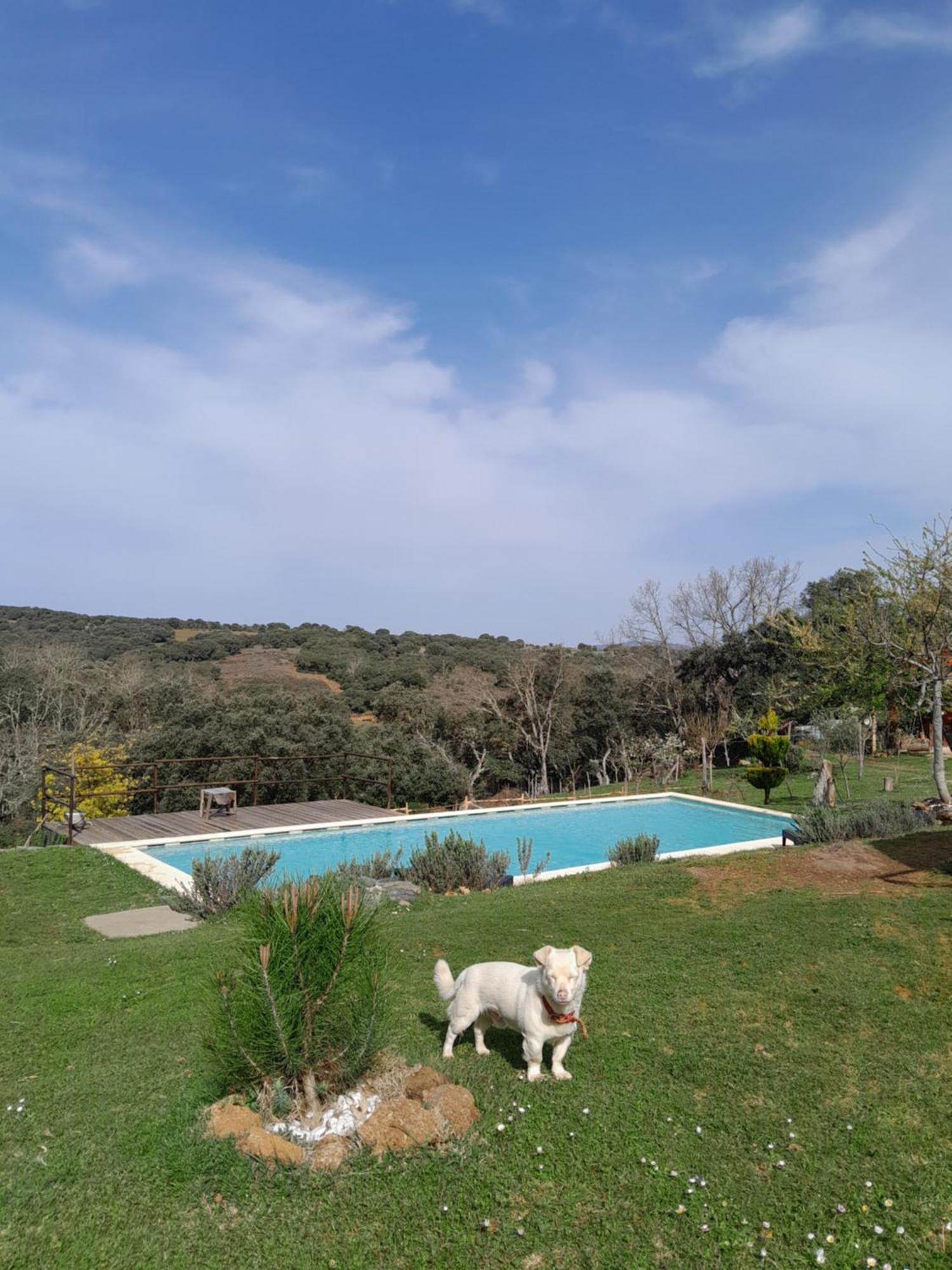 Quinta Da Devesa B1 Διαμέρισμα Vinhais Εξωτερικό φωτογραφία