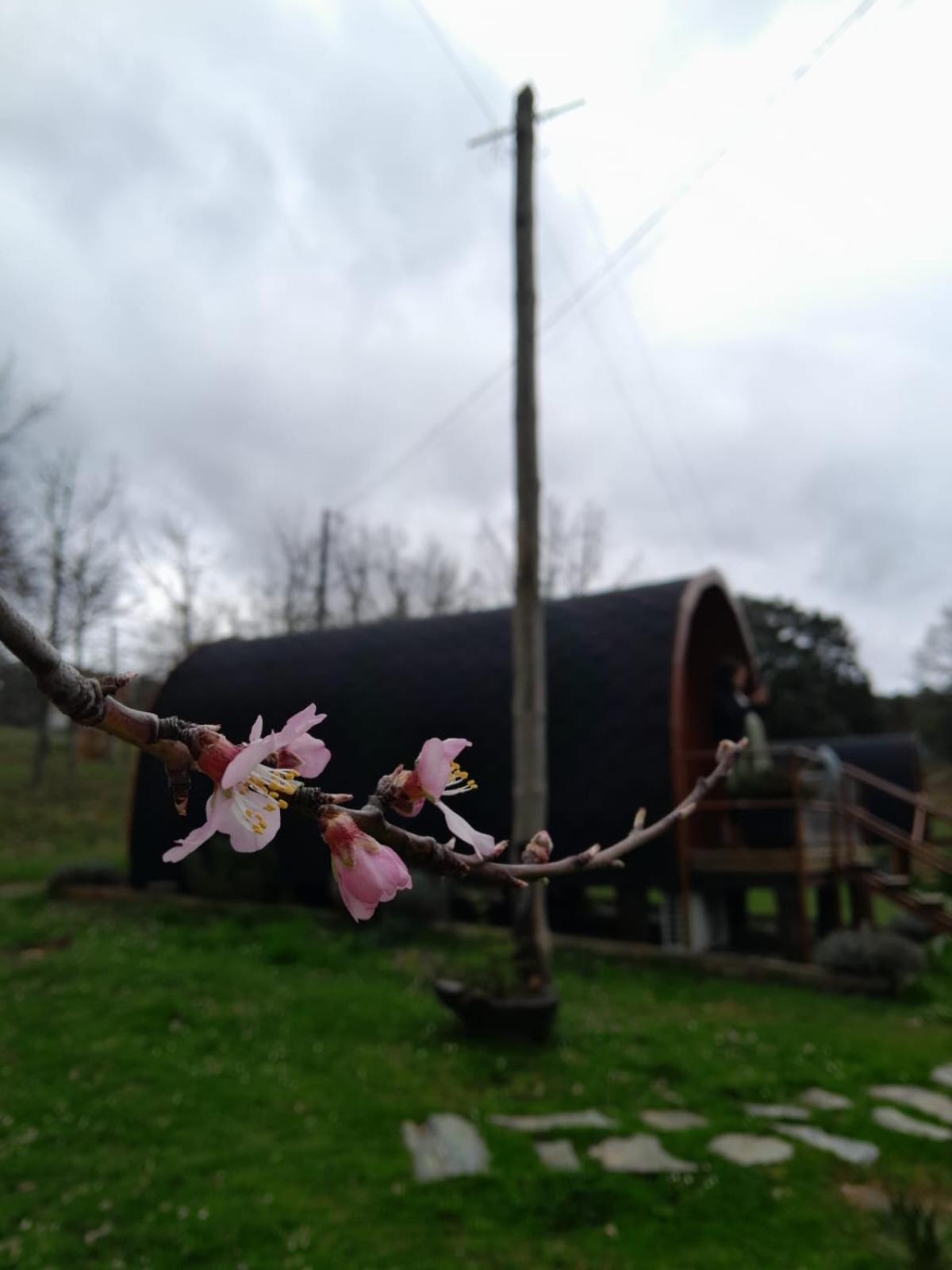 Quinta Da Devesa B1 Διαμέρισμα Vinhais Εξωτερικό φωτογραφία