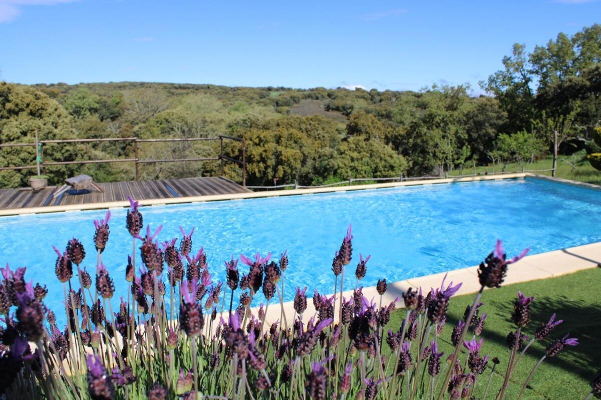 Quinta Da Devesa B1 Διαμέρισμα Vinhais Εξωτερικό φωτογραφία