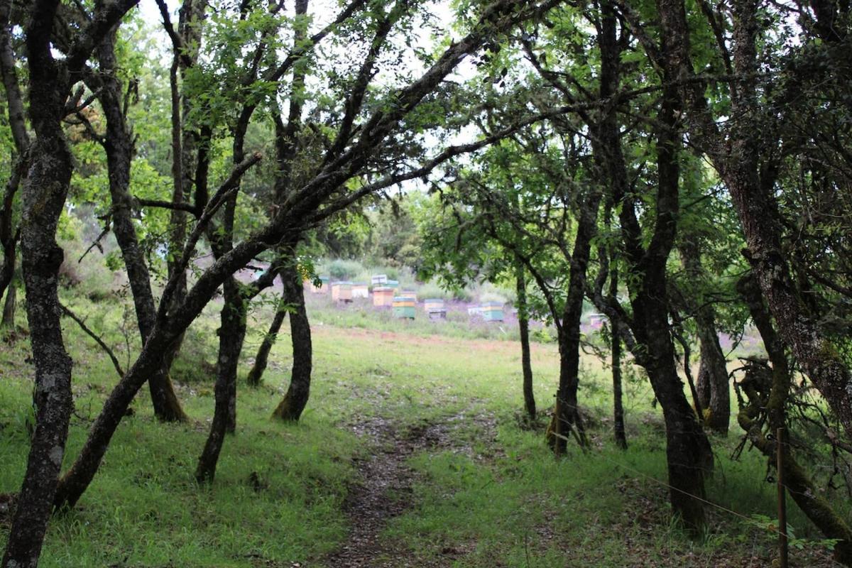 Quinta Da Devesa B1 Διαμέρισμα Vinhais Εξωτερικό φωτογραφία