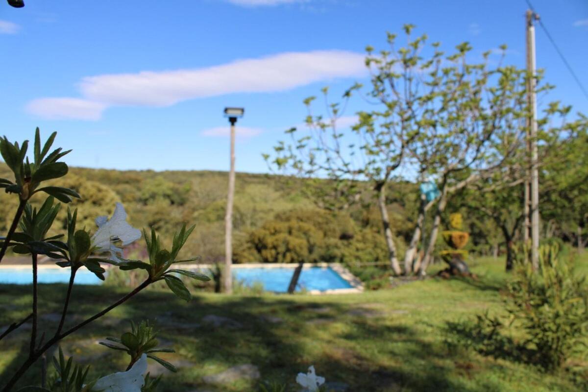 Quinta Da Devesa B1 Διαμέρισμα Vinhais Εξωτερικό φωτογραφία